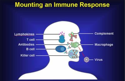 Immune Response